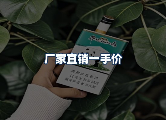 专业团队办公环境